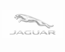 brand-logo